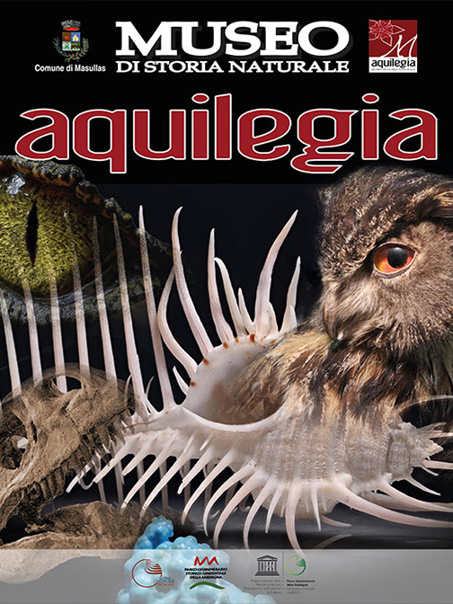 Aquilegia - Museo di Storia Naturale